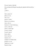 Từ vựng về quần áo và phụ kiện trong tiếng anh