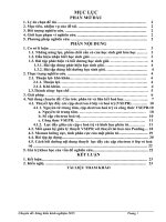 SKKN “ Công tác bồi dưỡng học sinh giỏi cấp tỉnh với chuyên đề Cấu trúc phân tử liên kết hoá học