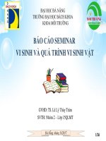 slide vi sinh hoàn chỉnh