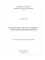 MỘT SỐ ĐẶC ĐIỂM VÀ KHẢ NĂNG GÂY BỆNH CỦA MYCOPLASMA HYOPNEUMONIAE TRÊN HEO LUẬN VĂN THẠC SĨ KHOA HỌC NÔNG NGHIỆP