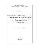 NGHIÊN CỨU SÂU HẠI TRÊN CÂY LÀI (Jasminum sambac) VÀ HIỆU QUẢ PHÒNG TRỪ SÂU ĐỤC BÔNG BẰNG MỘT SỐ LOẠI THUỐC HÓA HỌC, SINH HỌC TẠI XÃ AN SƠN, HUYỆN THUẬN AN, TỈNH BÌNH DƯƠNG LUẬN VĂN THẠC SĨ KHOA HỌC NÔNG NGHIỆP