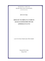 KHẢO SÁT TÁC ĐỘNG CỦA VI KHUẨN BACILLUS SUBTILIS ĐỐI VỚI NẤM ASPERGILLUS FLAVUS LUẬN VĂN THẠC SĨ KHOA HỌC NÔNG NGHIỆP