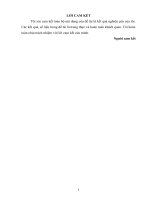 TIỂU LUẬN QUẢN TRỊ HỌC: Phân tích môi trường quản trị của công ty du lịch lữ hành saigontourist