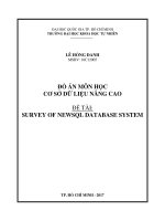 Khảo sát tổng hợp về NewSQL