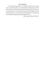 Một số giải pháp hoàn thiện mô hình cơ cấu tổ chức của công ty TNHH công nghệ và thiết bị phòng cháy chữa cháy