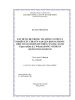 XÂY DỰNG HỆ THỐNG TÁI SINH IN VITRO VÀ NGHIÊN CỨU CHUYỂN NẠP GEN KHÁNG THUỐC DIỆT CỎ GLUFOSINATE TRÊN CÂY ĐẬU XANH (Vigna radiata (L.) Wilczek) BẰNG VI KHUẨN Agrobacterium tumefaciens Chuyên ngành: Trồng trọt Mã số: 60.62.01 LUẬN VĂN THẠC SĨ KHOA HỌC NÔNG