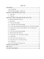 BÀI TIỂU LUẬN KẾT THÚC HỌC PHẦN: MÔI TRƯỜNG QUẢN TRỊ