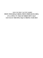 Phân tích hoạt động phân phối hàng hóa của công ty X 2015