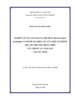 NGHIÊN CỨU SỰ GÂY HẠI CỦA BỌ PHẤN (Bemisia tabaci Gennadius) VÀ ĐÁNH GIÁ HIỆU LỰC CỦA MỘT SỐ THUỐC TRỪ SÂU ĐỐI VỚI CHÚNG TRÊN CÂY THUỐC LÁ VÀNG SẤY TẠI TÂY NINH LUẬN VĂN THẠC SĨ KHOA HỌC NÔNG NGHIỆP