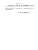 Tiểu luận Phong cách lãnh đạo của jackma