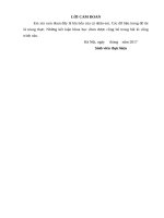 MỐI QUAN hệ GIỮA các cấp QUẢN TRỊ TRONG CÔNG TY cổ PHẦN tập đoàn CÔNG NGHIỆP VIỆT