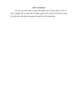 TIỂU LUẬN QUẢN TRỊ HỌC: phân tích ma trận SWOT tại công ty cổ phần sữa việt nam   vinamilk