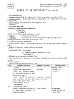 unit 9 WHAT COLOUR IS IT? 