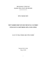 THỬ NGHIỆM MỘT SỐ CHẤT BỔ SUNG CẢI THIỆN NĂNG SUẤT GÀ ĐẺ TRONG MÙA NẮNG NÓNG LUẬN VĂN THẠC SĨ KHOA HỌC NÔNG NGHIỆP