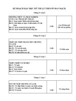 KẾ HOẠCH dạy học mỹ THUẬT THEO PP ĐAN MẠCH   copy 