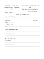 bien ban kiem tra dot xuat 