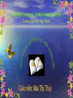 Bài 13. Giúp đỡ người khuyết tật