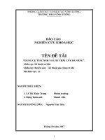 DỤNG CỤ TỈA CÀNH VÀ LẤY TRÁI CÂY ĐA NĂNG