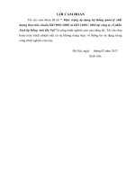 Thực trạng áp dụng hệ thống quản lý chất lượng theo tiêu chuẩn ISO 90012008 và ISO 14001 2004 tại công ty cổ phần xích líp đông anh hà nội