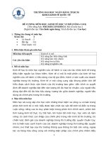 ĐỀ CƯƠNG môn học KINH tế học VI mô (NÂNG CAO) 