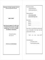 ĐIỀU CHẾ MANGAN ĐIOXIT có cấu TRÚC NANO  ỨNG DỤNG để TÁCH, làm GIÀU và xác ĐỊNH ION KIM LOẠI co2+, cu2+, zn2+, fe3+ và pb2+ TRONG mẫu SINH học và môi TRƯỜNG 