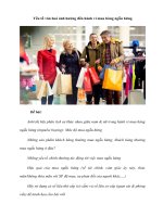 Yếu tố văn hoá ảnh hưởng đến hành vi mua hàng ngẫu hứng 