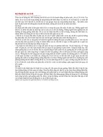 Kỹ thuật lùi xe ô tô 