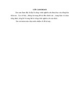 Tiểu luận Thiết lập mục tiêu cá nhân theo phương thức  SMART