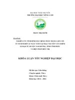 NGHIÊN CỨU TÌNH HÌNH MẮC BỆNH  PHÂN TRẮNG LỢN CON TỪ SƠ SINH ĐẾN 21 NGÀY TUỔI TẠI TRẠI  NGUYỄN VĂN CHIÊM XÃ ĐẠO TÚ, HUYỆN TAM DƯƠNG, TỈNH VĨNH PHÚC  VÀ BIỆN PHÁP ĐIỀU TRỊ