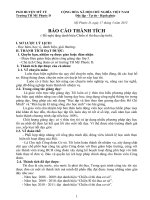 BAO CAO THANH TICH CA NHAN NAM 2013 