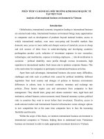 Analysis of international business environment in vietnam