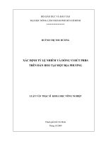 XÁC ĐỊNH TỶ LỆ NHIỄM VÀ DÒNG VI RÚT PRRS TRÊN ĐÀN HEO TẠI MỘT ĐỊA PHƯƠNG LUẬN VĂN THẠC SĨ KHOA HỌC NÔNG NGHIỆP