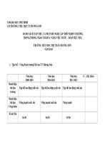 bao cao khen thuong GVN  DVN truong tieuhoc tt huongson 