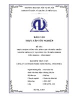 THỰC TRẠNG CÔNG TÁC ĐÀO TẠO VÀ PHÁT TRIỂN NGUỒN NHÂN LỰC TẠI CÔNG TY CỔ PHẦN PRIME  TIỀN PHONG  VĨNH PHÚC