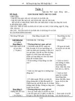 Giáo án lớp 1 mon mi thuat 