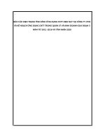 Báo cáo hiện trạng tình hình ứng dụng CNTT hiện nay tại công ty VMS và kế hoạch ứng dụng CNTT trong quản lý và kinh doanh giai đoạn 5 năm từ 2012  2016 và tầm nhìn 2020 