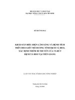 KHẢO SÁT BIỂU HIỆN LÂM SÀNG VÀ BỆNH TÍCH TRÊN HEO GIẾT MỔ DƯƠNG TÍNH DỊCH TẢ HEO, XÁC ĐỊNH NHÓM DI TRUYỀN CỦA VIRÚT DỊCH TẢ HEO TẠI TIỀN GIANG LUẬN VĂN THẠC SĨ KHOA HỌC NÔNG NGHIỆP