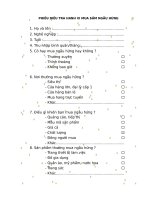 PHIẾU DIỀU TRA HANH VI MUA sắm NGẪU HỨNG 