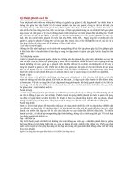 Kỹ thuật phanh xe ô tô 