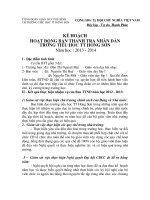 ke hoach chi dao va hoat dong cua BTTND 