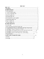 SKKN Một số giải pháp nâng cao hiệu qủa sinh hoạt chuyên môn ở trường Tiểu học Hướng Phùng