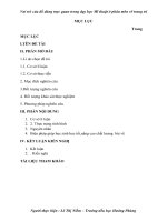 SKKN Vai trò của đồ dùng trực quan trong dạy học Mĩ thuật ở phân môn vẽ trang trí