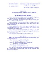 Tư liệu tham khảo - Nguyễn Hồng Thanh TT 40-2009-BCT