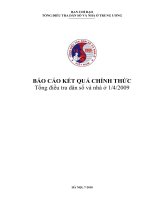 Tong dieu tra dan so VN - Bao cao Ket qua Viet (Toan bo)