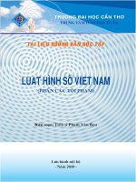 luat hinh su VN cac toi pham