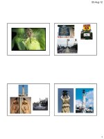 Học liệu - Học liệu BVTV WeevilMonument