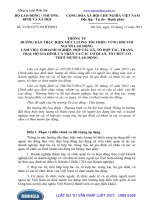 Thông tư 33 2013 TT-BLĐTBXH hướng dẫn thực hiện mức lương tối thiểu vùng đối với người lao động