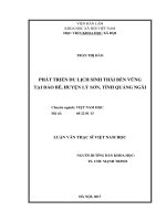 Phát triển du lịch sinh thái bền vững tại Đảo Bé, huyện Lý Sơn, tỉnh Quảng Ngãi (LV thạc sĩ)