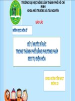 Tài liệu và Đề cương - Le Vu Quoc Bao hóa lí nhóm 10 pp