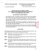 Bien ban Nghi quyet lay y kien co dong bang van ban lan 2 nam 2017